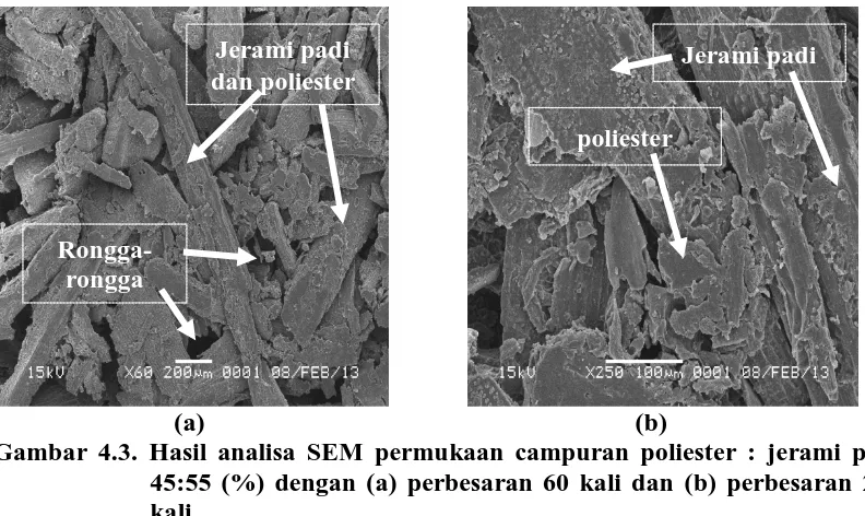 Gambar 4.3. Hasil analisa SEM permukaan campuran poliester : jerami padi 45:55 (%) dengan (a) perbesaran 60 kali dan (b) perbesaran 250 kali