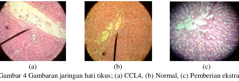 Gambar 3 Aktivitas enzim AST dan ALT pada serum darah tikus 