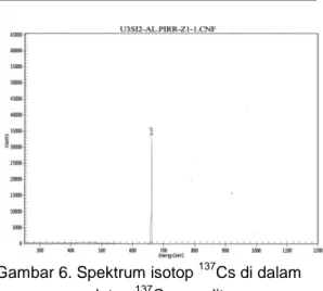 Gambar 5. Padatan  137 Cs-zeolit dengan                     isotop lainnya di fasa cair 