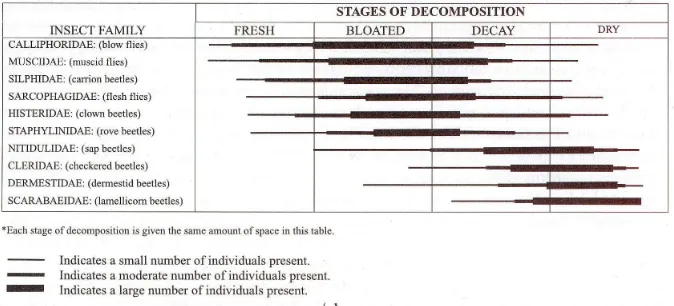 Tabel 1. Serangga pada cadaver manusia di East Tennesse selama musim semi dan panas