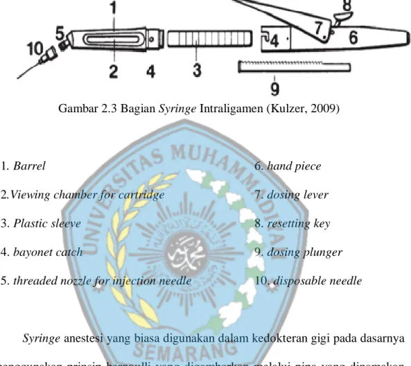 Gambar 2.3 Bagian Syringe Intraligamen (Kulzer, 2009) 