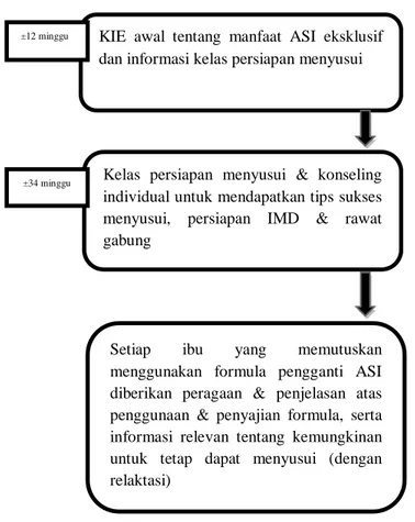 Gambar 2.1 Alur KIE ASI Eksklusif pada saat pelayanan Antenatal care  Sumber:  Buku  Saku  Pelayanan  Kesehatan  Ibu  di  Fasilitas  Kesehatan  Dasar  dan 