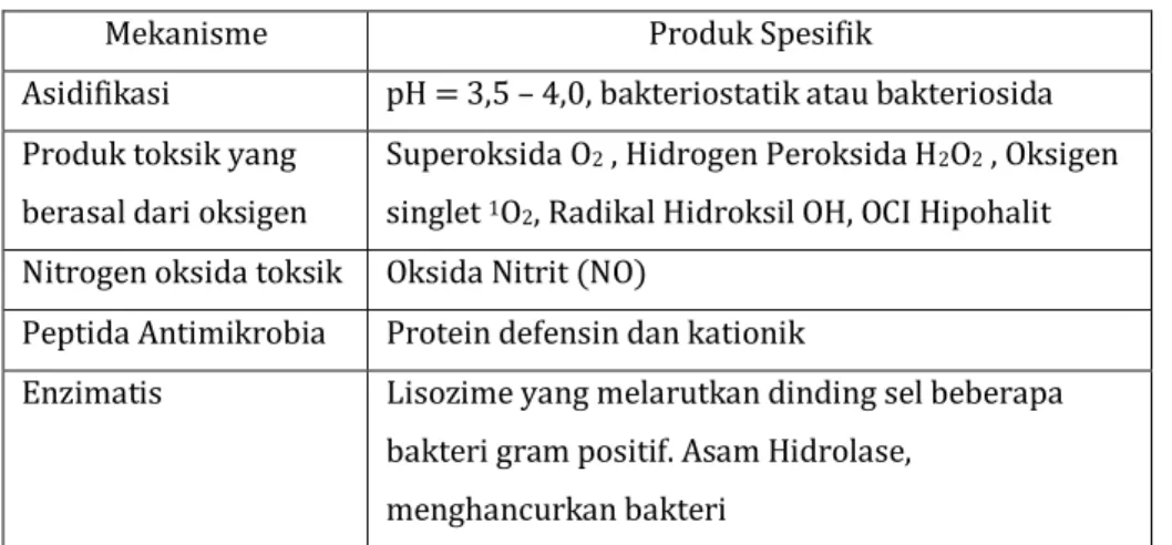 Tabel 3. Agen anti Bakteri Diproduksi atau Dilepaskan Oleh Sel Fagosit 
