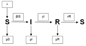 Gambar 1. Diagram Transfer Pemodelan SIRS