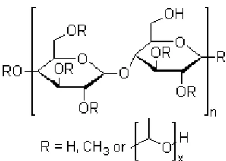 Gambar 2.5. Struktur kimia HPMC (Khairunnisya, 2011). 