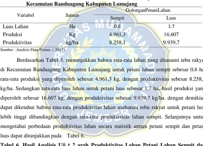 Tabel  5.  Rata-rata  Produksi  dan  Produktivitas  Lahan  Sempit  dan  Lahan  Luas  di  Kecamatan Randuagung Kabupaten Lumajang 
