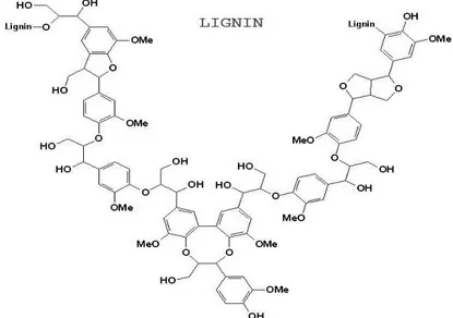 Gambar 2. 4 Struktur Kimia Lignin (Higuchi dkk., 2004) 
