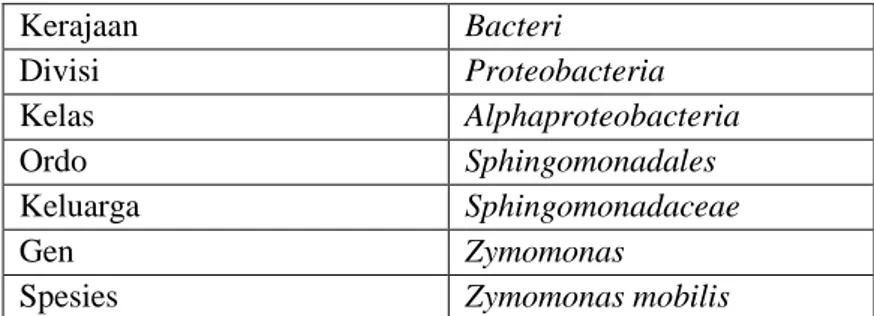Tabel 2. 4 Klasifikasi Z. Mobillis  Kerajaan  Bacteri  Divisi  Proteobacteria  Kelas  Alphaproteobacteria  Ordo  Sphingomonadales  Keluarga  Sphingomonadaceae  Gen  Zymomonas 