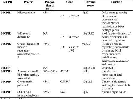 Table 4. MCPH genes and function (Adapted from Thornton, 2009) 