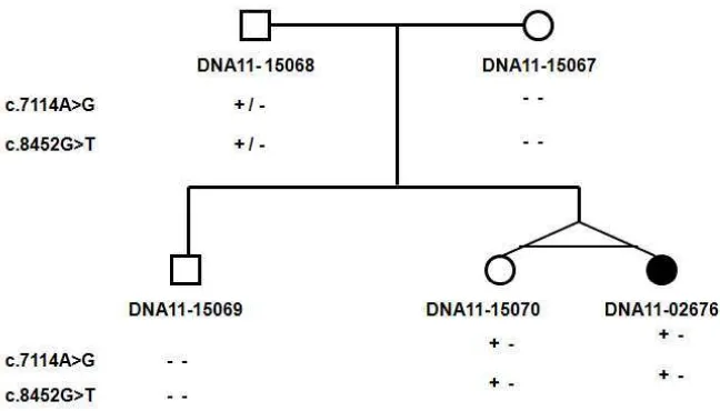 Figure 13.  Pedigree of subject DNA 11-02676 follow up. (+): Variant is present,    (-): Variant is not present