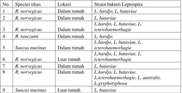 Tabel  6.  Hasil  pemeriksaan  laboratorium  serum  darah  tikus  yang  menunjukkan  positif  leptospirosis dari wilayah Dukun 