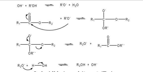 Gambar 4. Mekanisme reaksi transesterifikasi  gliserol  menempati  lapisan  bawah.  Untuk 