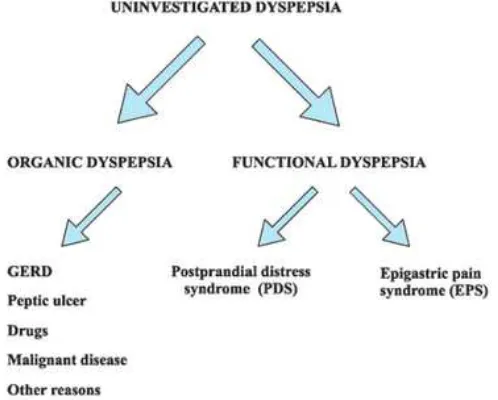 Gambar 2.1 Klasifikasi Dispepsia menurut Konsensus Roma III Dikutip sesuai aslinya dari: Dyspepsia in Clinical Practice (2011)