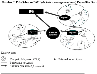 Gambar 2. Pola Sebaran DMU (decission management unit) Komoditas Susu  