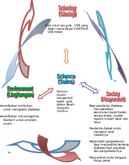 Gambar 5. Penyakit Diabetus mellitus dalam konteks SETS.