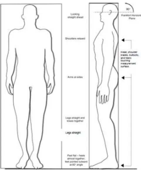 Gambar 2. Pengukuran tinggi badan 27