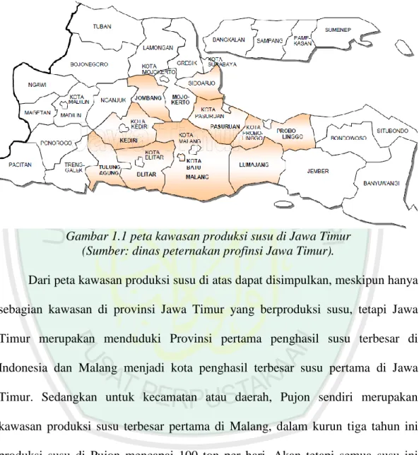 Gambar 1.1 peta kawasan produksi susu di Jawa Timur  (Sumber: dinas peternakan profinsi Jawa Timur)