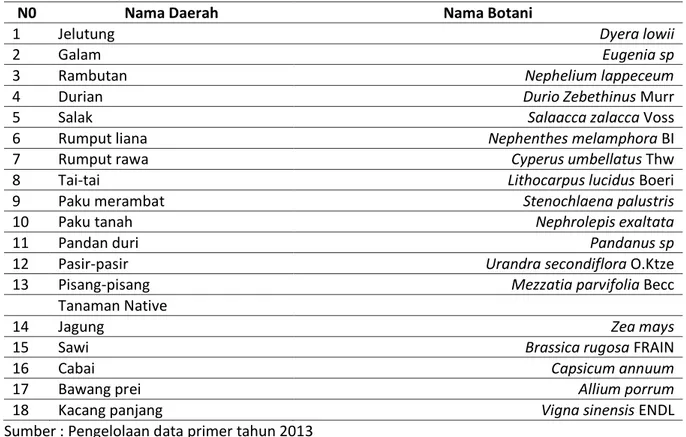 Tabel  2.  Jenis  Vegetasi  yang  ditemukan  di  lahan  gambut  di  Kelurahan  Kalampangan  Kota  Palangkaraya