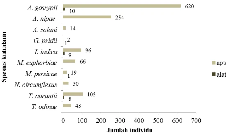 Gambar 2  Jenis kutudaun dan jumlah individu bersayap (alatae) dan tidak bersayap (aptera) yang ditemukan di Bogor dan Cianjur