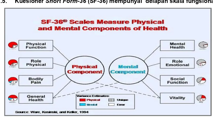 Gambar 2. SF-36 dengan 8 skala fungsional 