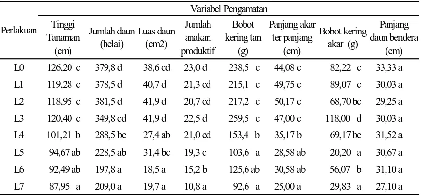 Tabel 1.  Nilai rata-rata tanggap 2 varietas padi yang ditanam pada macam media dan diairi limbah cair dari laguna  