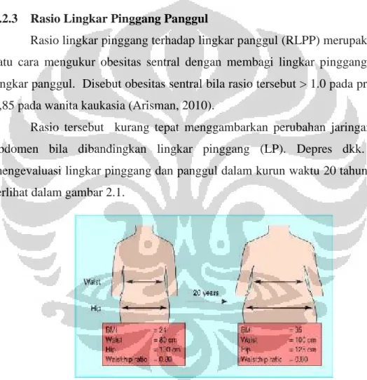Gambar 2.1 Pengamatan Lingkar Pinggang selama 20 tahun Sumber : Depres JP et al. (2001).