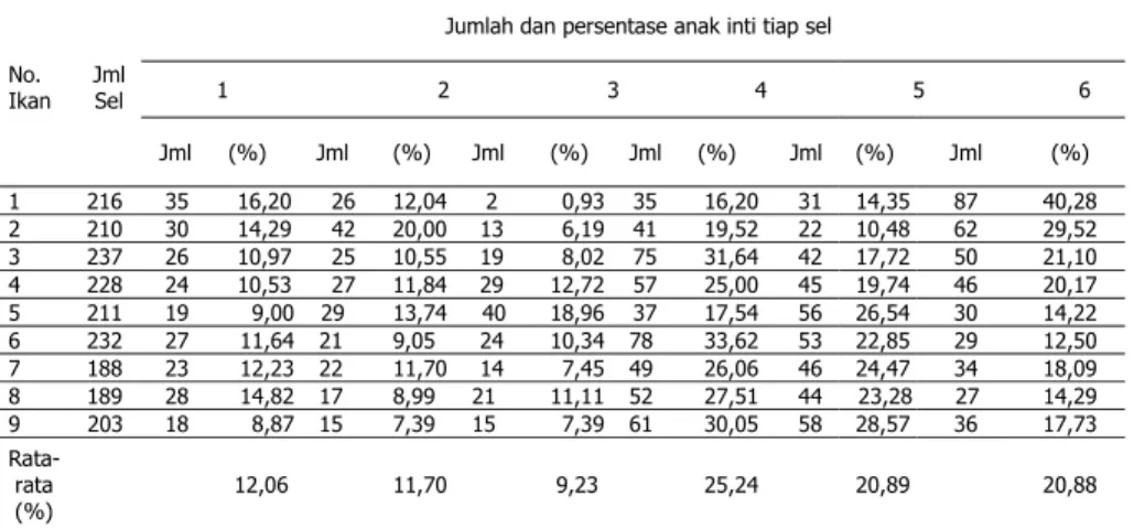 Tabel 2. Distribusi jumlah anak inti tiap sel ikan tawes diploid (2n) 