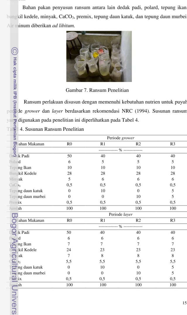 Gambar 7. Ransum Penelitian 