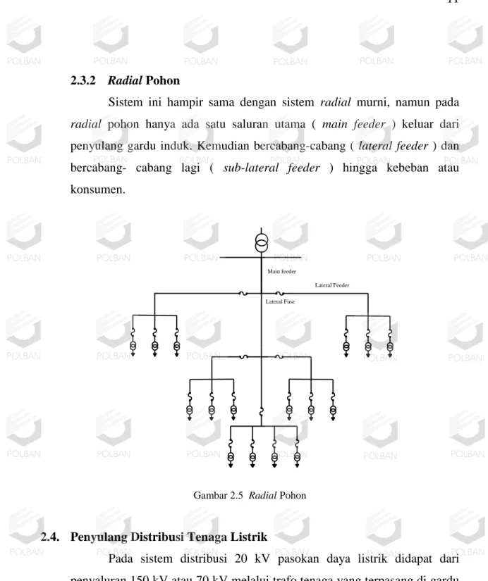 Gambar 2.5  Radial Pohon  