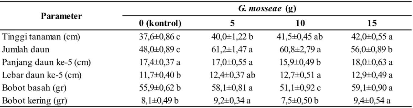 Tabel  1  menunjukkan  bahwa  parameter  tinggi  A.  cina  pada  umur  6  minggu  dengan  pemberian mikoriza G
