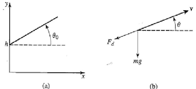 Illustration  2: (a) Bola dilempar dari ketinggian h dengan sudut lemparan 