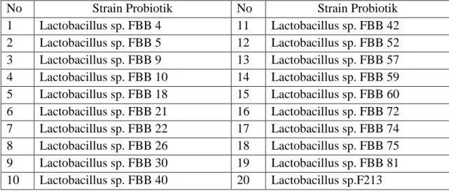 Tabel 2. Strain Bakteri asam laktat yang dipergunakan dalam penelitian 