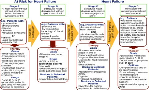 Figure 1. ACC/AHA classiication of heart failure7
