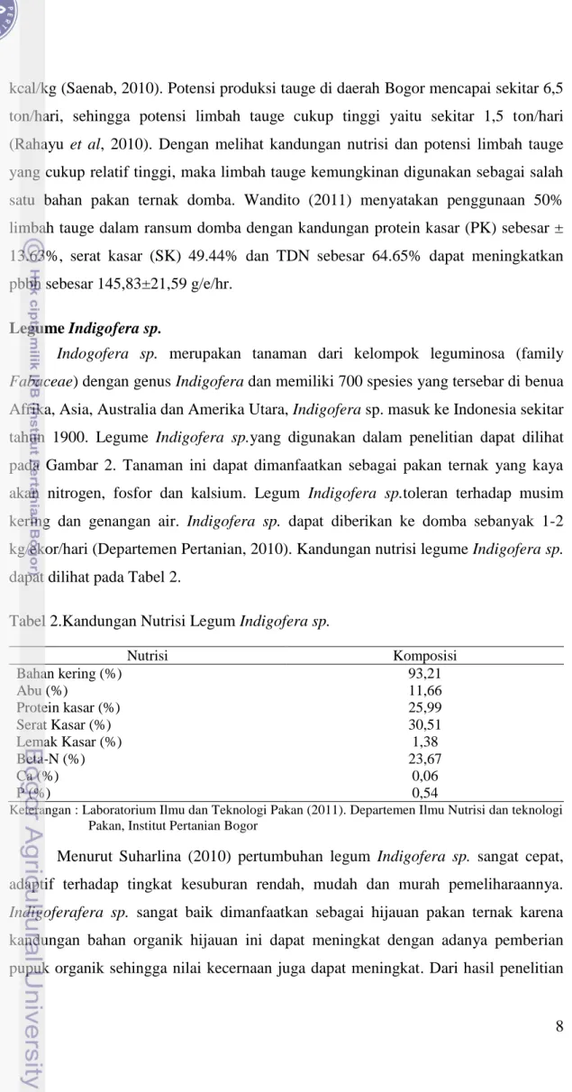 Tabel 2.Kandungan Nutrisi Legum Indigofera sp. 