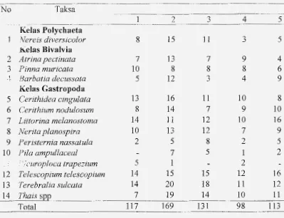 Tabel 5. Kelimpahan makrozoobentos (ind/900 cm2) pada tiap stasiun 