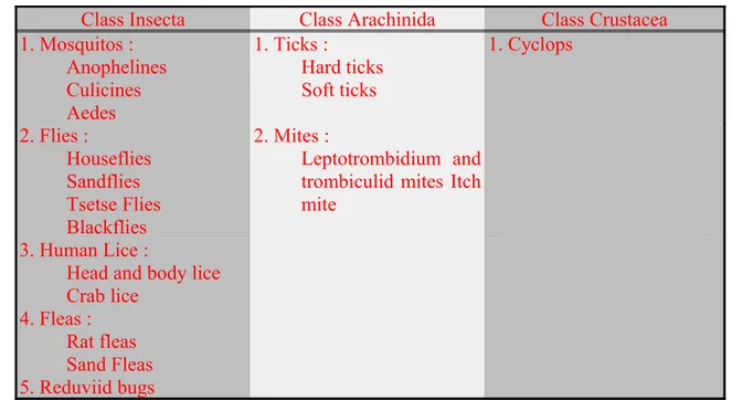 Tabel 2.          Kelas dan Species dari Arthropoda yang Penting 