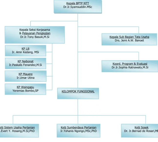 Gambar 1. Struktur Organisasi BPTP NTT NTT 