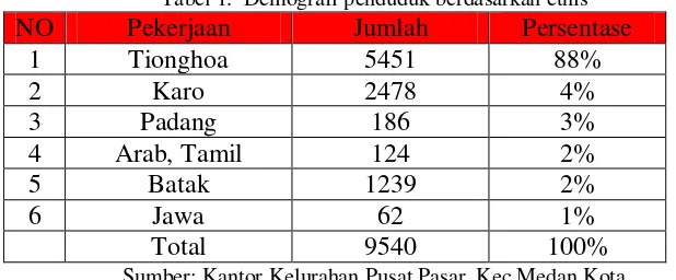 Tabel 1.  Demografi penduduk berdasarkan etnis 