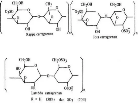 Gambar 3.  Struktur kimia karagenan 46