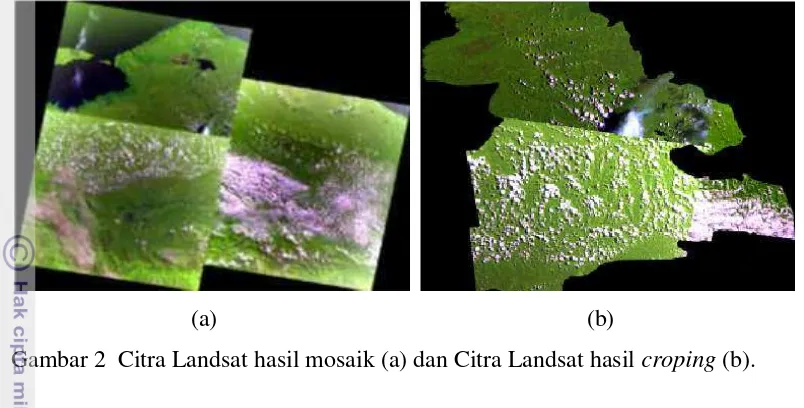 Gambar 2  Citra Landsat hasil mosaik (a) dan Citra Landsat hasil croping (b). 