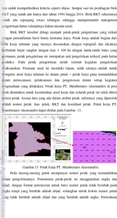 Gambar 13  Petak kerja PT. Mamberamo Alasmandiri. 