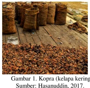 Gambar 1. Kopra (kelapa kering) 