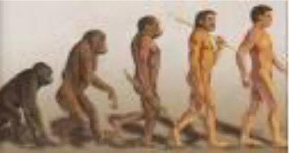 Gambar Evolusi Manusia  Kata Kunci  -  Allah  -  Manusia  -  Gambar   -  Rupa   -  Allah  -  Ciptaan  -  Tanggung jawab 