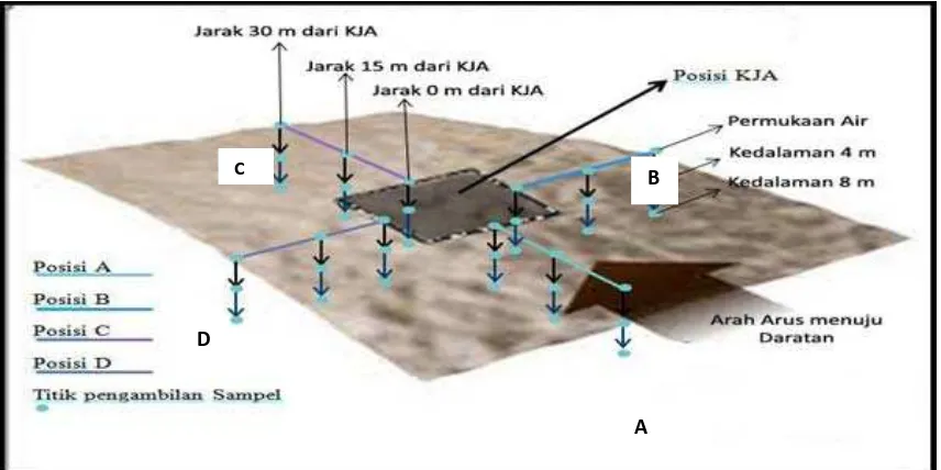 Gambar 1:  Sketsa  posisi pengambilan sampel air di sekitar KJA 