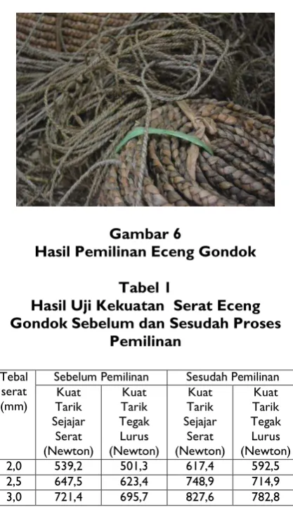 Gambar 6 Hasil Pemilinan Eceng Gondok 