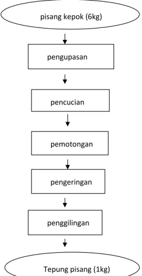 Gambar 1. Diagram Alur Proses Pembuatan tepung pisang pisang kepok (6kg) pengupasan pencucian pemotongan pengeringan penggilingan Tepung pisang (1kg) 