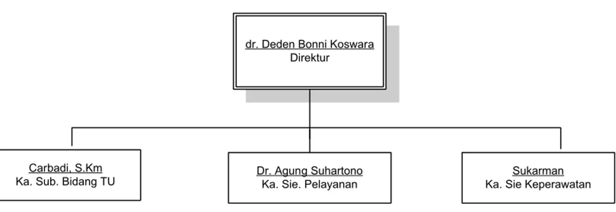 Gambar 2.2 Struktur Organisasi Rumah Sakit Umum Pantura M.A Sentot