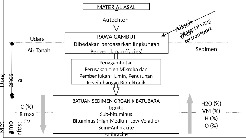 Gambar 2.2. Proses pembentukan batubara (McCabe, 1987).