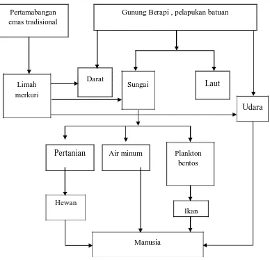 Gambar 2.2. Perjalanan Merkuri dari Alam Sampai ke Tubuh Manusia(Widowati,2008) 