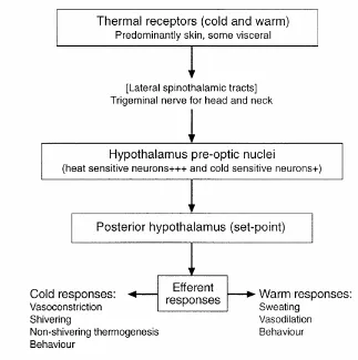 Gambar 2.1. Alur Kontrol Termoregulasi6 